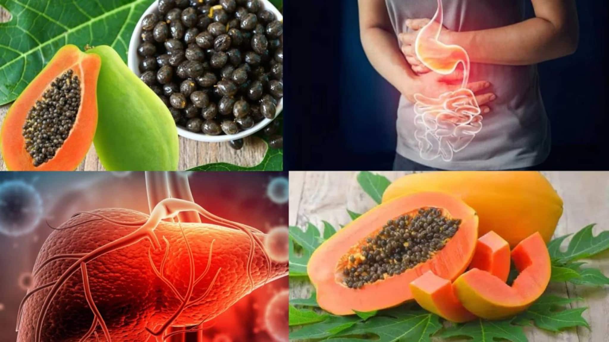 Papaya Seed in Liver Health: বিষাক্ত জিনিস বেরিয়ে সাফ লিভার! পরজীবী দূর হয়ে গায়েব পেটব্যথা! কোষ্ঠকাঠিন্যেও মহৌষধ পেঁপের বীজ