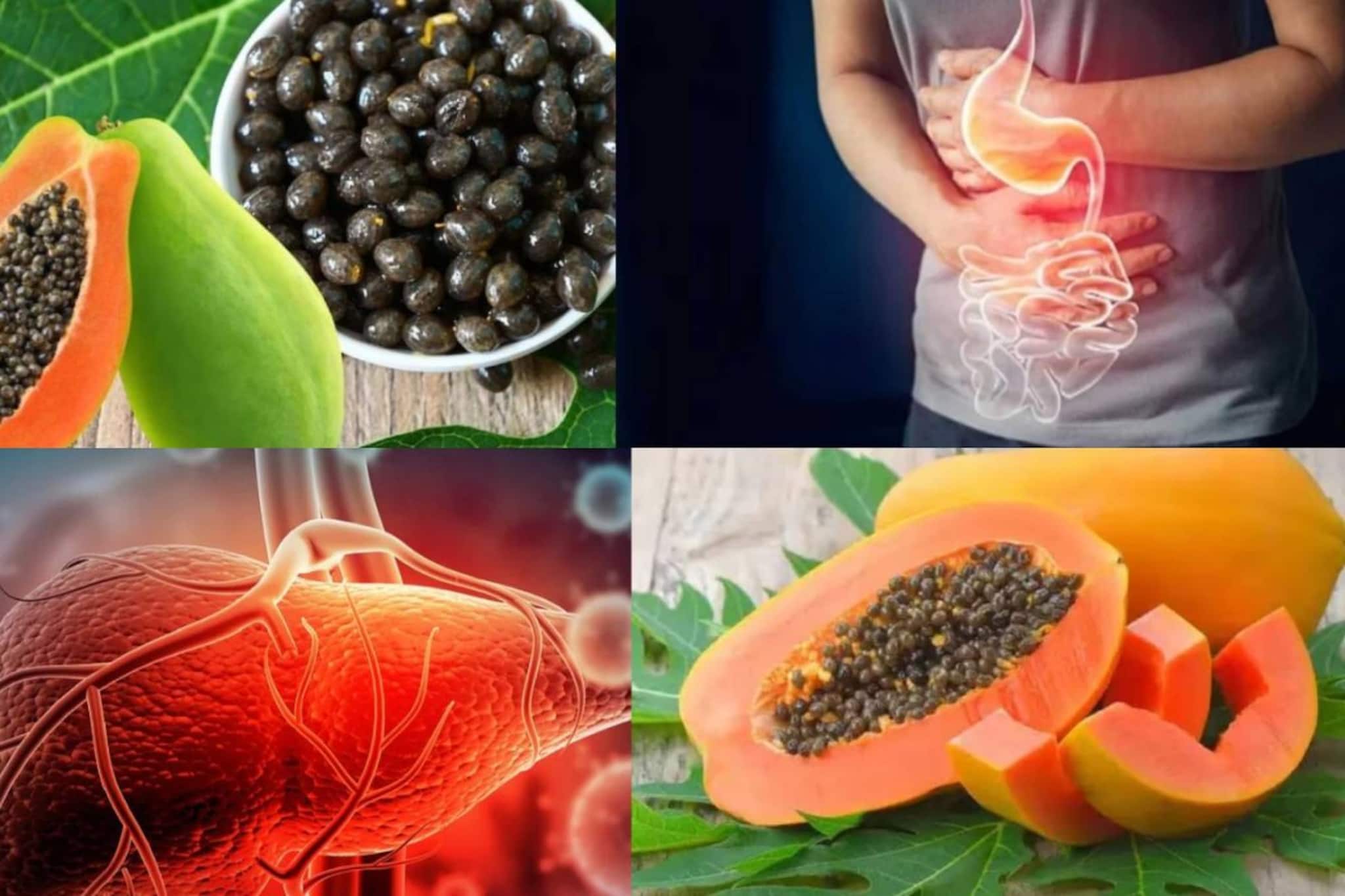 বিষাক্ত জিনিস বেরিয়ে সাফ লিভার! পরজীবী দূর হয়ে গায়েব পেটব্যথা! কোষ্ঠকাঠিন্যেও মহৌষধ পেঁপের বীজ বিষাক্ত জিনিস বেরিয়ে সাফ লিভার! পরজীবী দূর হয়ে গায়েব পেটব্যথা! কোষ্ঠকাঠিন্যেও মহৌষধ পেঁপের বীজ