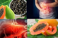 Papaya Seed in Liver Health: বিষাক্ত জিনিস বেরিয়ে সাফ লিভার! পরজীবী দূর হয়ে গায়েব পেটব্যথা! কোষ্ঠকাঠিন্যেও মহৌষধ পেঁপের বীজ
