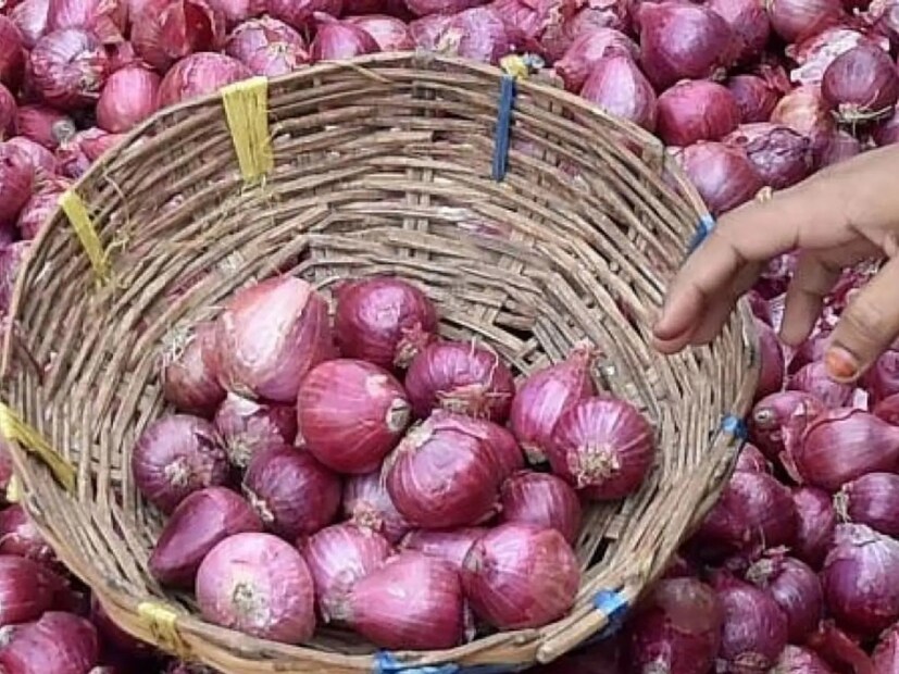 Onion Storage Tips: বছর পেরোলেও পেঁয়াজ থাকবে টাটকা! গন্ধ, ঝাঁঝ অটুট…শুধু ‘সংরক্ষণ’ করুন এই ভাবে!