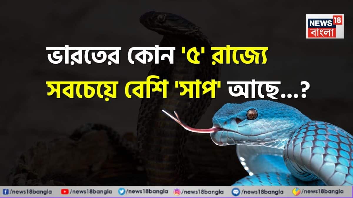 ভারতের কোন ‘৫’ রাজ্যে সবচেয়ে বেশি ‘সাপ’ আছে জানেন…? শুনলেই চমকাবেন নামে, শিওর!