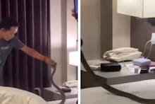 Viral Video: থাইল্যান্ডের হোটেলে দুঃস্বপ্ন! বিছানায় কোবরা, ঘাড়ের উপর দিয়ে হেঁটে গেল বিষধর সাপ, তারপর?