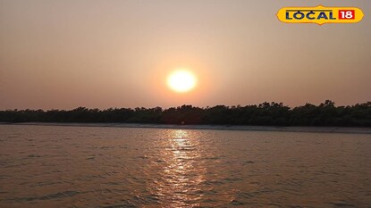 সুন্দরবনের নদীর জলে কার্বন ডাই অক্সাইডের মাত্রা বৃদ্ধি পাচ্ছে 