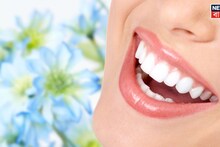 Personality Test: ৩২-৩০ নাকি ২৮? ক'টা দাঁত থাকলে আপনি হবেন 'কোটিপতি'! আপনার দাঁতই খুলে দেবে বন্ধ ভাগ্য