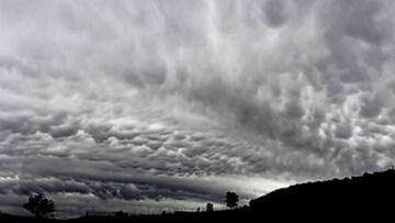 আকাশ ফালাফালা, ৫০ কিমি গতিতে ঝোড়ো হাওয়া-সঙ্গী বৃষ্টি, তোলপাড় কলকাতা সহ জেলার পর জেলা