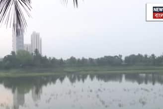 হু হু করে বাড়ছে তাপমাত্রা, ছুঁতে পারে ৪০°!  কবে মিলবে বৃষ্টির দেখা? কেমন থাকবে সপ্তাহান্তের আবহাওয়া?