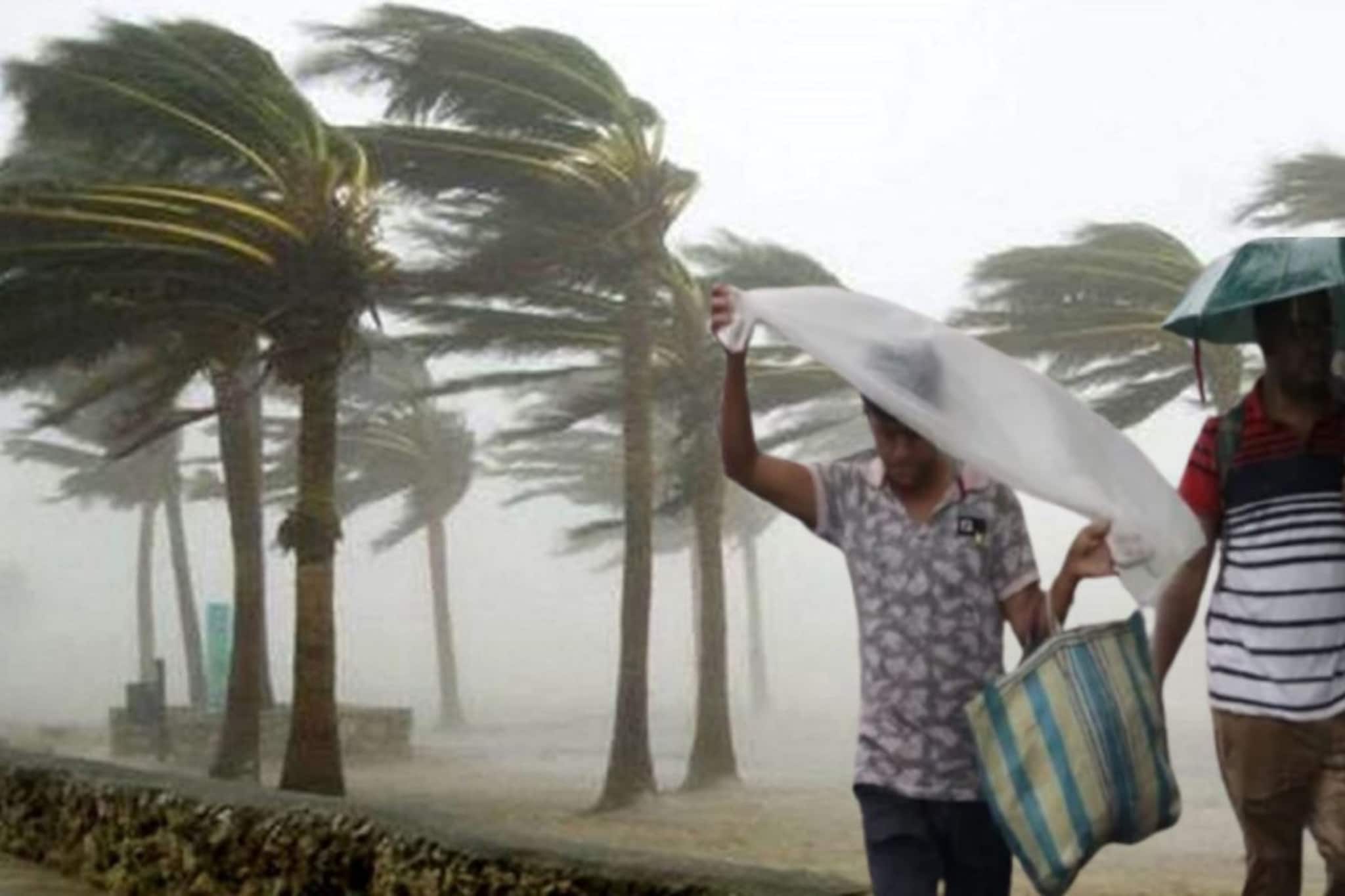 কালবৈশাখীর দাপটে 'তোলপাড়'...! ৬০ কিমি বেগে তীব্র ঝড়-বৃষ্টি কলকাতায়, ৪ জেলায় শিলাবৃষ্টি-এলোপাথাড়ি হাওয়া