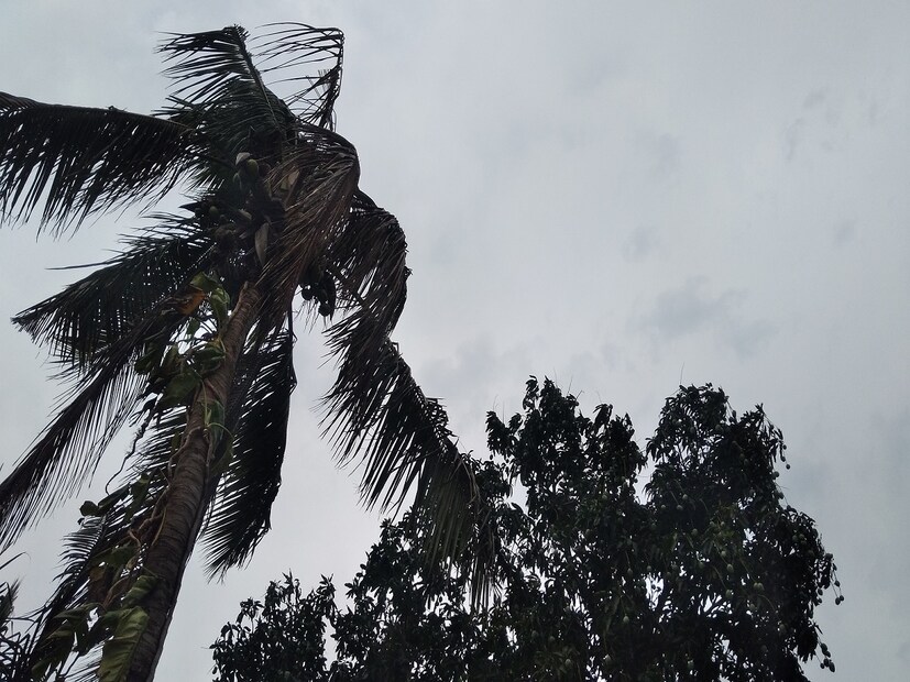 কলকাতা, উত্তর ও দক্ষিণ ২৪ পরগনা, হাওড়া, হুগলি, পূর্ব বর্ধমান, বাঁকুড়া, পশ্চিম মেদিনীপুরে ৫০-৬০ কিলোমিটার বেগে ঝোড়ো হাওয়া বইতে পারে। বাকি সব জেলাতেই বজ্রবিদ্যুৎ-সহ বৃষ্টির সঙ্গে ৪০-৫০ কিলোমিটার গতিবেগে দমকা বাতাস বইবে।