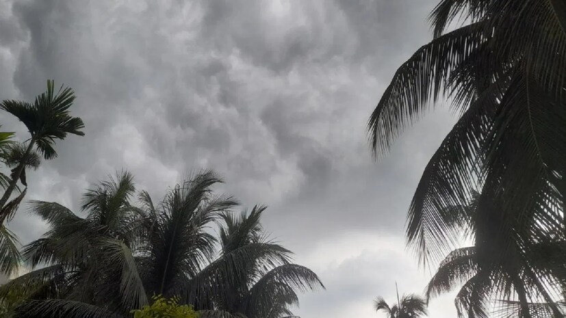  বৃষ্টিপাতের সম্ভাবনা বেশি থাকবে নদীয়া, পূর্ব-পশ্চিম বর্ধমান, বীরভূম, পুরুলিয়া, বাঁকুড়া, পশ্চিম মেদিনীপুর এবং ঝাড়গ্রামে। রবিবারে শুষ্ক আবহাওয়ার সম্ভাবনা রয়েছে।