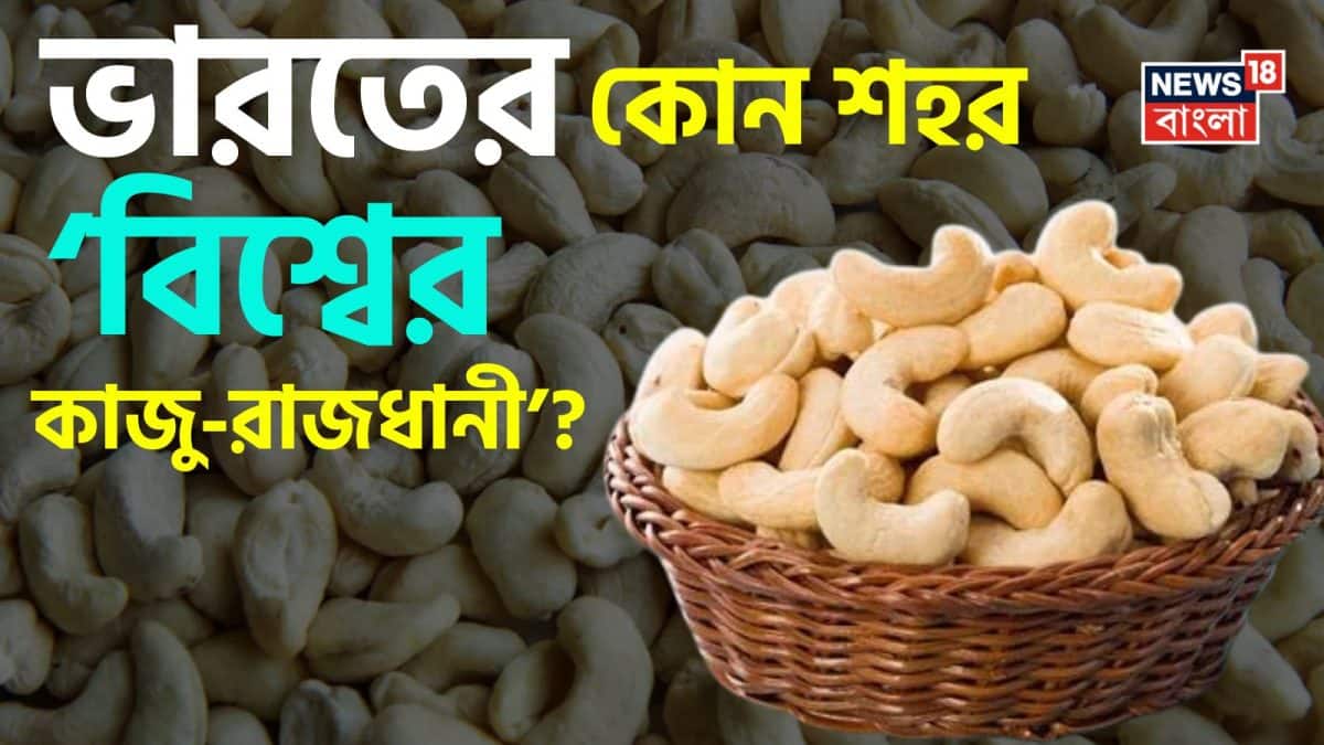 World Cashewnut Capital in India: ‘বিশ্বের কাজু-রাজধানী’ বলা হয় ভারতের কোন শহরকে? জেনারেল নলেজ স্ট্রং হলে আপনিই পারবেন সঠিক উত্তর বলতে! ঠিক জানেন কিনা মিলিয়ে নিন এক ক্লিকে!