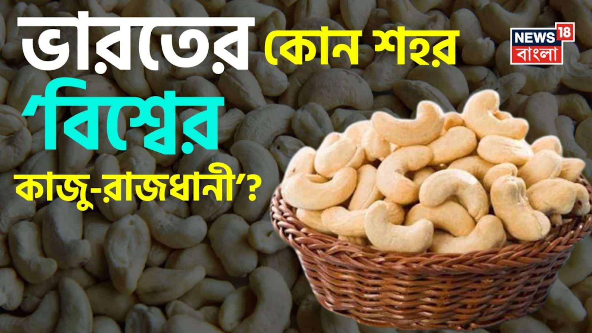 GK: World Cashewnut Capital in India: ‘বিশ্বের কাজু-রাজধানী’ বলা হয় ভারতের কোন শহরকে? জেনারেল নলেজ স্ট্রং হলে আপনিই পারবেন সঠিক উত্তর বলতে! ঠিক জানেন কিনা মিলিয়ে নিন এক ক্লিকে!