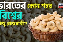 GK: World Cashewnut Capital in India: ‘বিশ্বের কাজু-রাজধানী’ বলা হয় ভারতের কোন শহরকে? জেনারেল নলেজ স্ট্রং হলে আপনিই পারবেন সঠিক উত্তর বলতে! ঠিক জানেন কিনা মিলিয়ে নিন এক ক্লিকে!