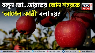 ভারতে রয়েছে অসংখ্য পাহাড়ি শহর ও শান্ত পার্বত্য গ্রাম, যার প্রত্যেকটিরই নিজস্ব কাহিনী আছে। হিমাচল প্রদেশে লুকিয়ে আছে এমনই একটি ছোট শহর, যা ভারতের আপেল চাষের যাত্রায় এক গুরুত্বপূর্ণ ভূমিকা পালন করেছিল। বনঘেরা পাহাড়, নির্মল পাহাড়ি বাতাস এবং আপেলের বাগান দ্বারা পরিবেষ্টিত এই শহর শান্ত ও নির্মল।