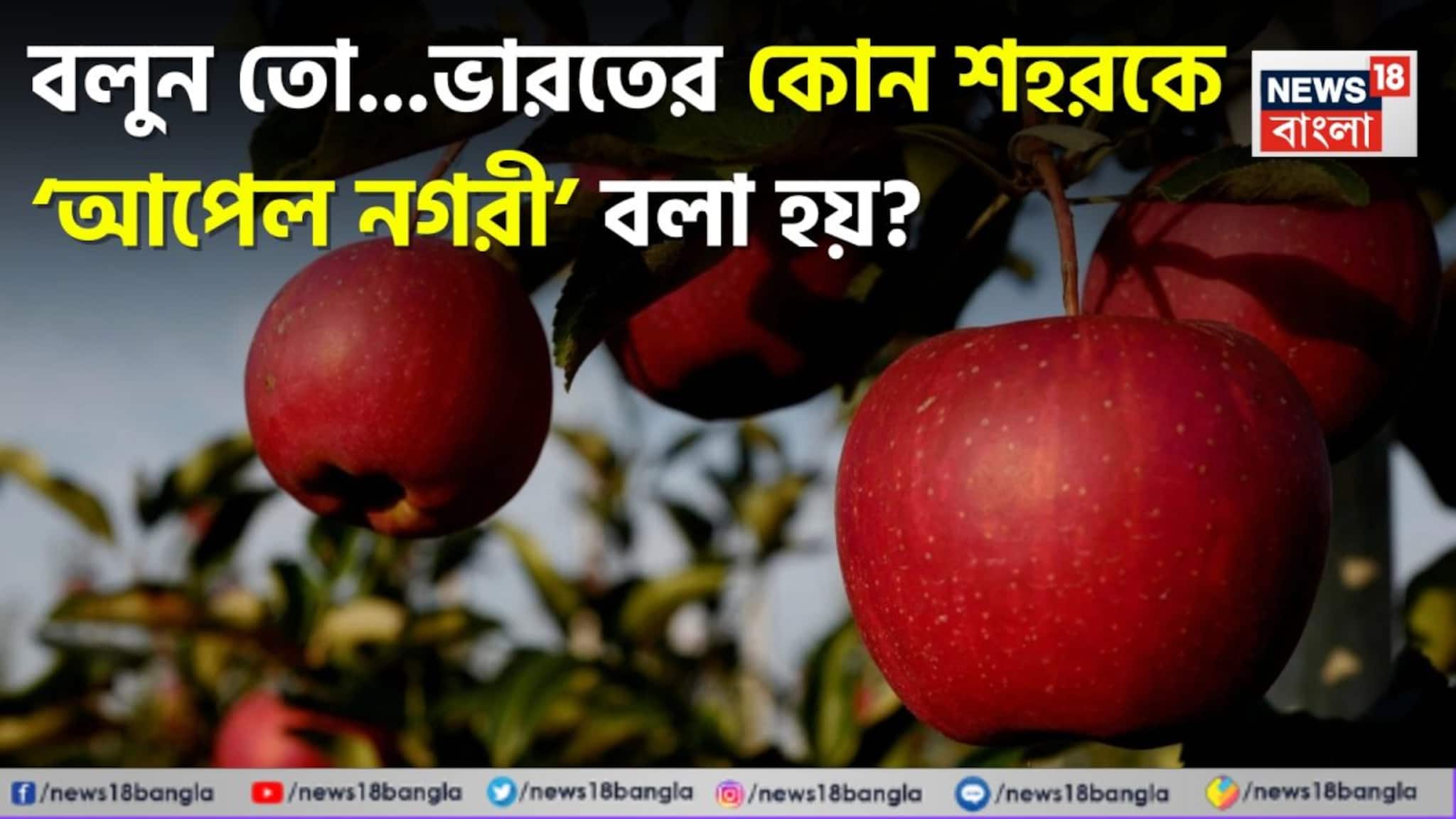 GK: Apple City of India: ‘আপেল নগরী’ বলা হয় ভারতের কোন শহরকে? সঠিক বলতে পারলে আপনার GK বেস্ট! দেখুন তো আপনার উত্তর ঠিক হল কিনা!