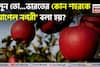 ‘আপেল নগরী’ বলা হয় ভারতের কোন শহরকে? সঠিক বলতে পারলে আপনার GK বেস্ট! দেখুন তো আপনার উত্তর ঠিক হল কিনা!