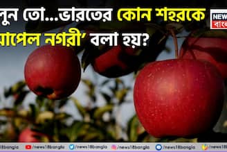 ‘আপেল নগরী’ বলা হয় ভারতের কোন শহরকে? সঠিক বলতে পারলে আপনার GK বেস্ট! দেখুন তো আপনার উত্তর ঠিক হল কিনা!