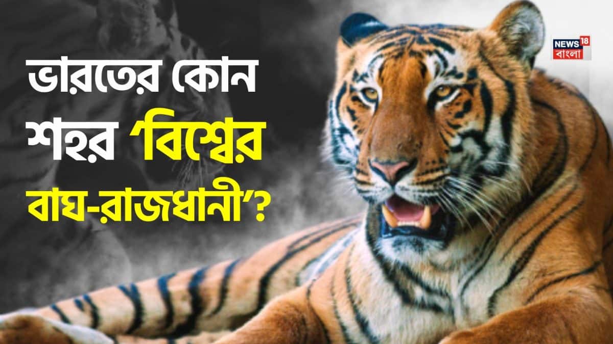 GK: Tiger Capital of the World: বলুন তো ভারতের কোন শহরকে বলা হয় ‘বিশ্বের বাঘ-রাজধানী’? বেশিরভাগ যেটা জানেন, সেটা মোটেও সঠিক উত্তর নয় কিন্তু…মিলিয়ে নিন!