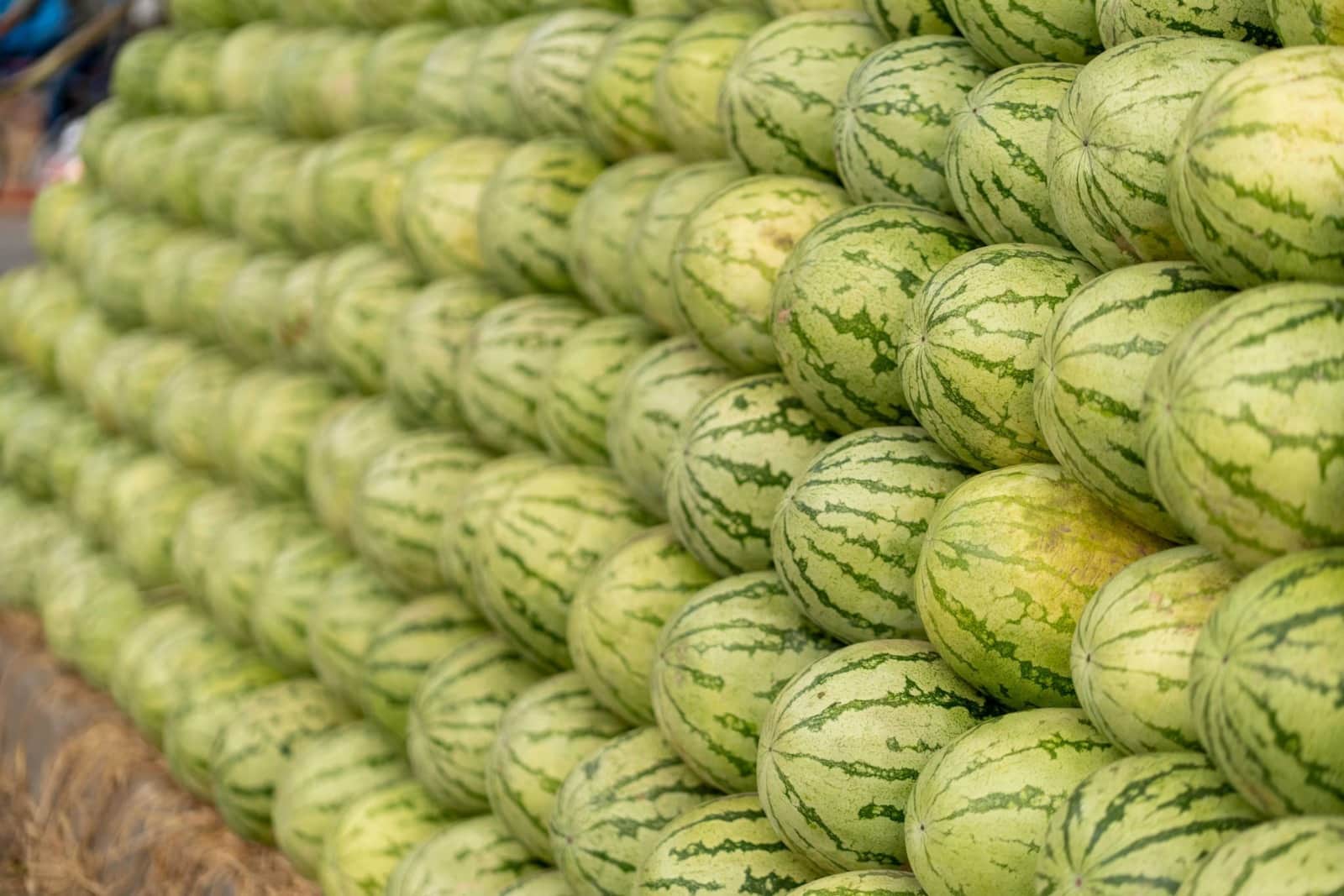 GK: Watermelon Capital of India: বলুন তো ‘তরমুজের রাজধানী’ বলা হয় ভারতের কোন শহরকে? শুধুমাত্র চৌখসরাই জানেন সঠিক উত্তর!