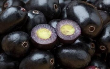 ১০ টাকার এই কালো ফল গরমে দারুণ উপকারী, নিয়ন্ত্রণে রাখে সুগার ও ব্লাড প্রেসার, ত্বকের জন্যও উপকারী! 