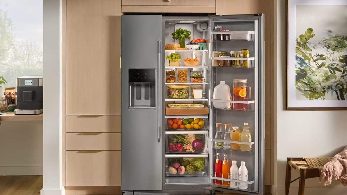 Fridge Tips: দু-একদিনের জন্য বাইরে যাচ্ছেন? ফ্রিজ কি বন্ধ করে যাবেন নাকি চালু রাখবেন? জেনে নিন আসল নিয়ম