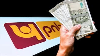 PNB Customers Alert: ‘এই’ কাজটি না করলে ১৬ এপ্রিল থেকে বন্ধ হয়ে যেতে পারে অ্যাকাউন্ট
