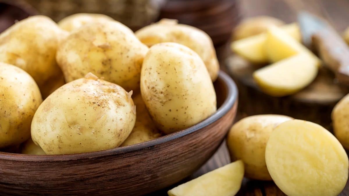 Weight Loss With Potato: যত খুশি আলু খান, বাড়বে না একটুও ওজন ! শুধু জানতে হবে সঠিক উপায়!