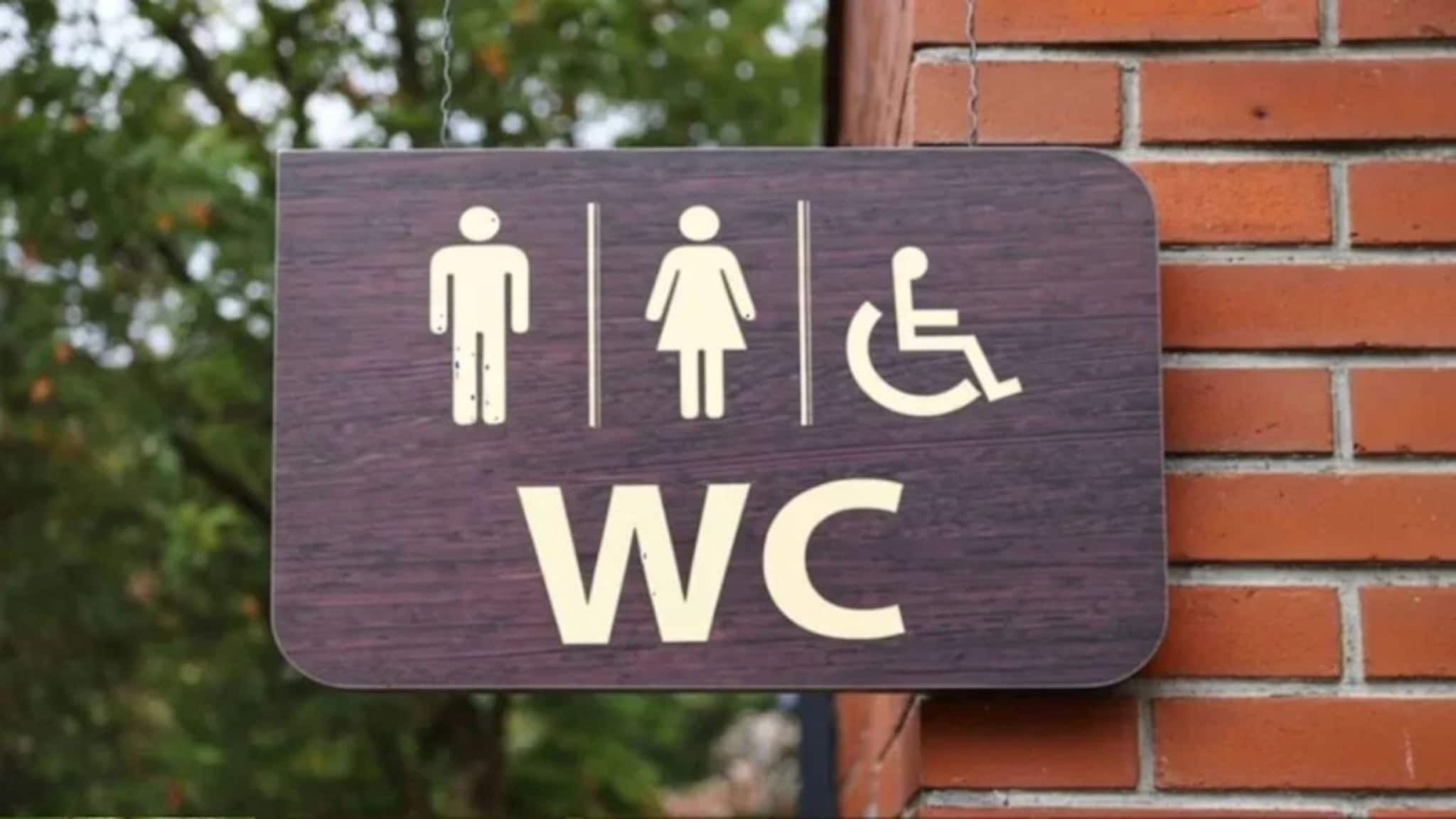 GK: কিছু টয়লেটের বাইরে ‘WC’ লেখা থাকে কেন জানেন? এর অর্থ কী? ৯৯% লোকজনই ডাহা ভুল উত্তর দিয়েছেন