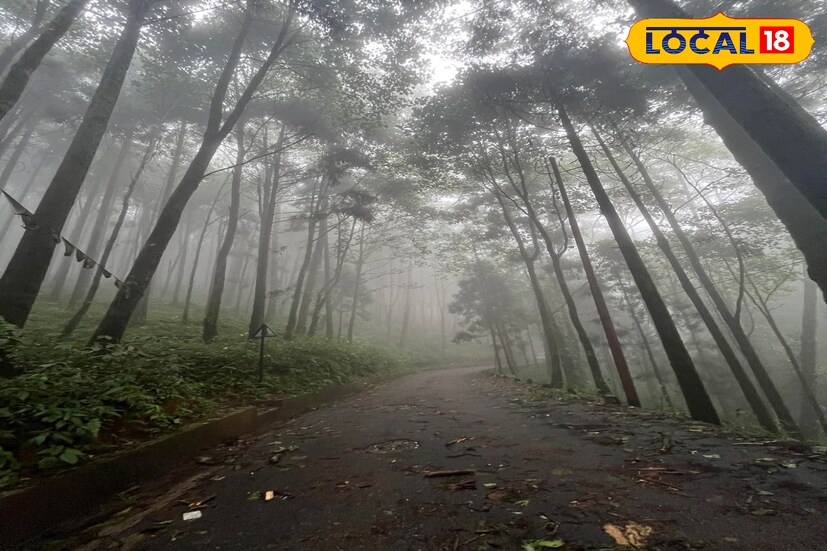 মাঝে মধ্যে আকাশ পরিষ্কার হলেও সেভাবে রোদের তেজ দেখা যাচ্ছে না।শুক্রবার ভারী বৃষ্টির সম্ভাবনা উত্তরবঙ্গে। দার্জিলিং, কালিম্পং, আলিপুরদুয়ার, কোচবিহার. জলপাইগুড়িতে হবে বৃষ্টি। তবে আলিপুরদুয়ার এবং জলপাইগুড়ি জেলায় লাল সতর্কতা জারি করেছে হাওয়া অফিস।