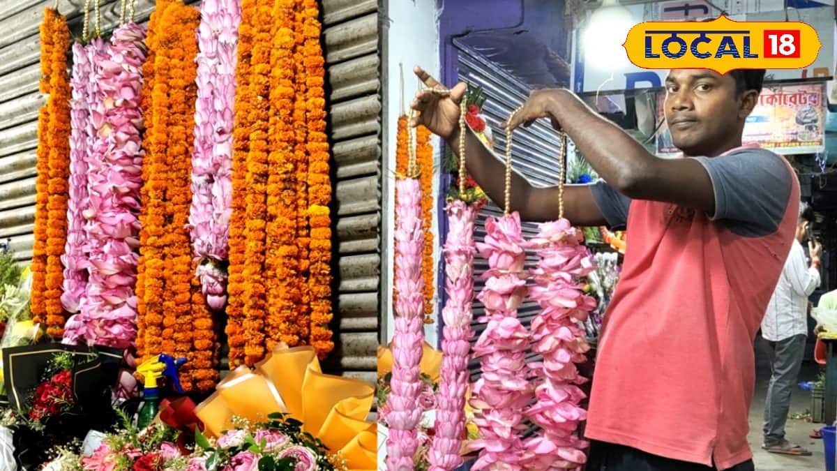 Lotus: দুর্গাপুজোর আগেই বাজারে পদ্মের আকাল! বেড়েছে ব্যাপক দাম