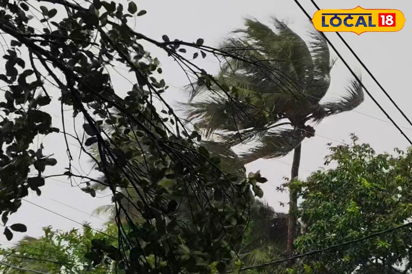 *মুর্শিদাবাদ, কৌশিক অধিকারী: তীব্র দাবদাহের পর স্বস্তির বৃষ্টি। মুর্শিদাবাদের জেলা সদর বহরমপুরে, কান্দি মহকুমা জুড়ে সোমবার দুপুরে ঘন কালো মেঘে ঢেকে যায় আকাশ। দমকা বাতাস বইতে থাকে। কিছুক্ষণের মধ্যেই ঝেঁপে বৃষ্টি নামে। তবে তা বেশিক্ষণ স্থায়ী হয়নি। কিন্তু, কান্দি মহকুমায় ব্যাপক ঝড়ে বহু গাছ উপড়ে পড়েছে। ক্ষতি হয়েছে বেশ কিছু কাঁচাবাড়িরও। কান্দি ও ভরতপুর, কান্দি কুলি রাজ্যে সড়কের রাস্তার উপর গাছ উপড়ে পড়ায় যান চলাচল ব্যহত হয়। ক্ষতি হয়েছে আমেরও।