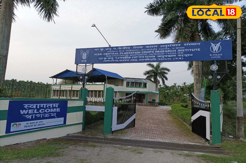 *উত্তরবঙ্গের ক্ষুদ্র ব্যবসায়ীদের জন্য অত্যন্ত সহজ হবে অর্থ উপার্জন! এই প্রকল্পে চিরা, মুড়ি, জুস, কেক-পেস্ট্রি, সয়াবিন, সর্ষের তেল কিংবা ডিহাইড্রেটেড সবজি বা মাশরুম ..এ ধরনের খাদ্য প্রক্রিয়াকরণ ব্যবসার জন্য মিলছে বড় সুবিধা। সবচেয়ে গুরুত্বপূর্ণ বিষয়, মেশিনারি কেনার ক্ষেত্রে ৩৫% পর্যন্ত সাবসিডি দেওয়া হচ্ছে। তবে এই সাবসিডি ‘ব্যাক-এন্ড’ ভিত্তিক। সংগৃহীত ছবি। *উত্তরবঙ্গের ক্ষুদ্র ব্যবসায়ীদের জন্য অত্যন্ত সহজ হবে অর্থ উপার্জন! এই প্রকল্পে চিরা, মুড়ি, জুস, কেক-পেস্ট্রি, সয়াবিন, সর্ষের তেল কিংবা ডিহাইড্রেটেড সবজি বা মাশরুম ..এ ধরনের খাদ্য প্রক্রিয়াকরণ ব্যবসার জন্য মিলছে বড় সুবিধা। সবচেয়ে গুরুত্বপূর্ণ বিষয়, মেশিনারি কেনার ক্ষেত্রে ৩৫% পর্যন্ত সাবসিডি দেওয়া হচ্ছে। তবে এই সাবসিডি ‘ব্যাক-এন্ড’ ভিত্তিক। সংগৃহীত ছবি।