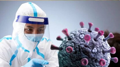 WHO On Hantavirus: ভাইরাসের নাম ‘হান্টা’ কেন? কতটা ছোঁয়াচে? কীভাবে ছড়ায়? লক্ষণ কী কী? কোভিডের পর কি এ বার আসছে নতুন মহামারির তাণ্ডব? জানুন WHO কী বলছে