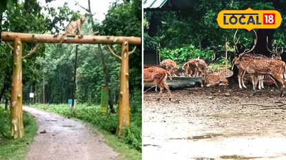 রসিকবিল মিনি জু রসিকবিল মিনি জু