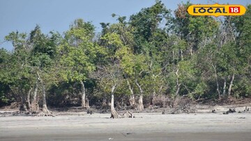 Sundarban News: সুন্দরবন রক্ষার সংকল্প! বিপর্যয় রুখতে একজোট