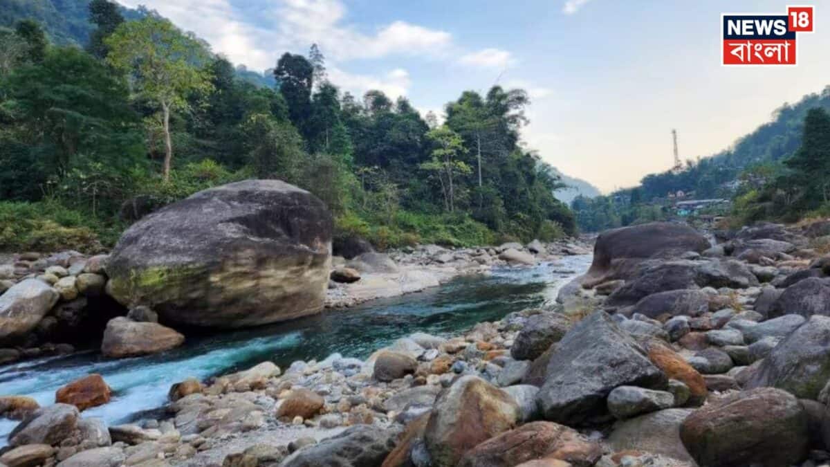 Darjeeling Offbeat Tour: গ্রীষ্মের দাবদাহে হাঁসফাঁস? পাহাড়, নদী আর সুরের মেলবন্ধনে অপেক্ষায় অন্য জীবন! ব্যাগ গুছিয়ে বেরিয়ে পড়ুন