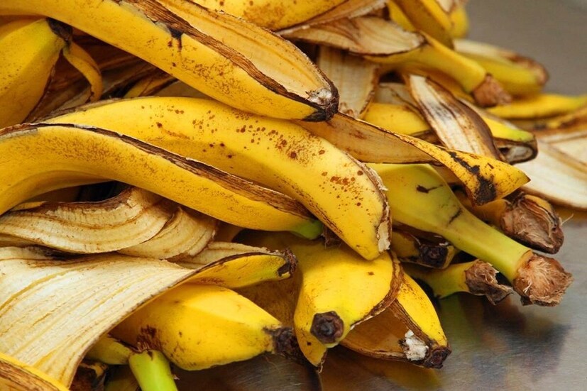 Yellow Teeth Remedies: ময়লার ঝুড়িতে না ফেলে এই খোসা ঘষুন দাঁতে ...