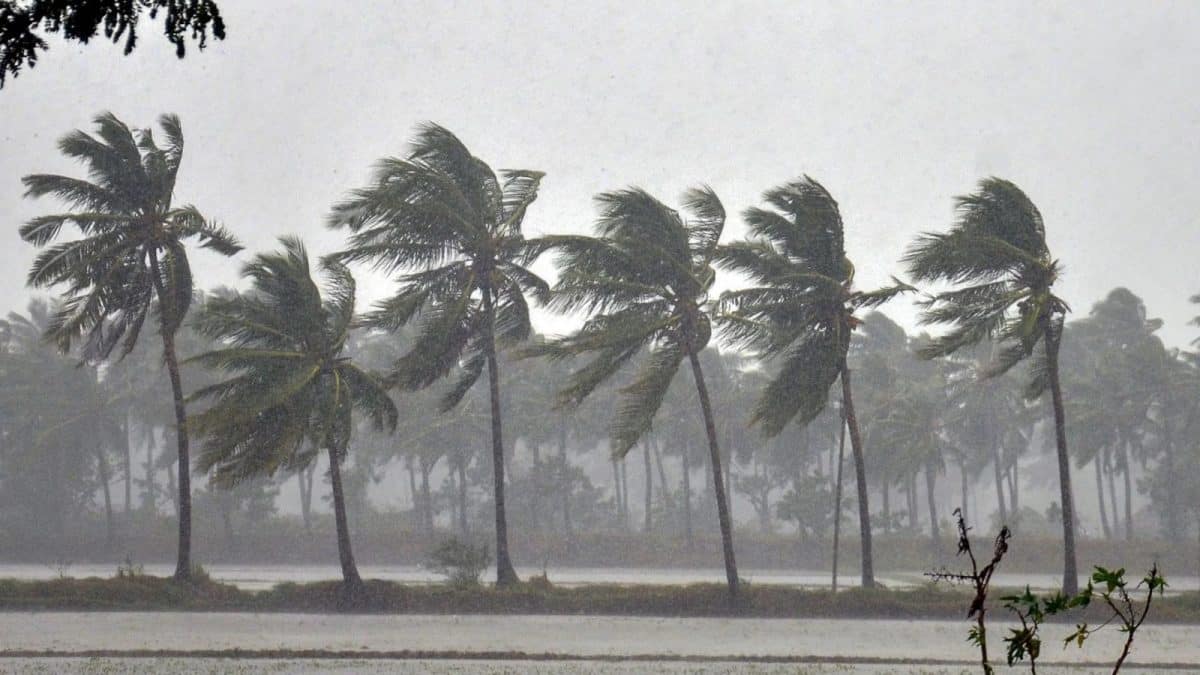 Rainfall alert: উত্তর বঙ্গোপসাগরে ঘূর্ণাবর্ত, নিম্নচাপের জেরে দক্ষিণবঙ্গে প্রবল বৃষ্টির সম্ভাবনা, জেনে নিন দিনক্ষণ