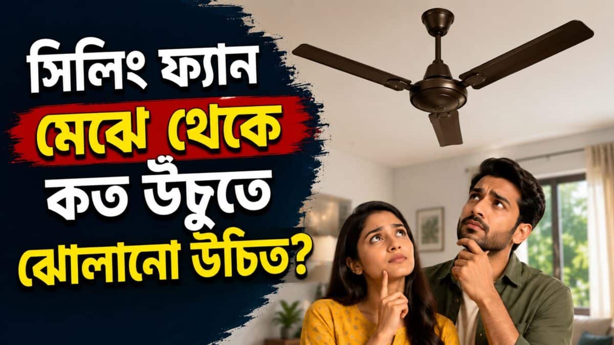 Ceiling Fan: গরমে পাখার হাওয়া যেন গায়েই লাগে না, আসলে মাটি থেকে ফ্যানের উচ্চতা ঠিক নয়! কতটা উঁচুতে সিলিং ফ্যান থাকলে হাওয়ায় প্রাণ জুড়বে Ceiling Fan: গরমে পাখার হাওয়া যেন গায়েই লাগে না, আসলে মাটি থেকে ফ্যানের উচ্চতা ঠিক নয়! কতটা উঁচুতে সিলিং ফ্যান থাকলে হাওয়ায় প্রাণ জুড়বে