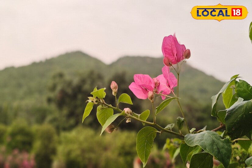 *সমগ্র দক্ষিণবঙ্গের আবহাওয়ার সামগ্রিক চিত্র বলছে, বৃহস্পতিবার দক্ষিণবঙ্গের উষ্ণতম এলাকা হতে পারে পশ্চিম বর্ধমান ও বীরভূমের কিছু অংশ, যেখানে পারদ ৩৬ ডিগ্রি সেলসিয়াস ছুঁতে পারে। অন্যদিকে, উপকূলবর্তী এলাকাগুলিতে তাপমাত্রা তুলনামূলক কম থাকবে। আগামী ৪৮ ঘণ্টায় দক্ষিণবঙ্গ জুড়ে বজ্রবিদ্যুৎ-সহ বিক্ষিপ্ত বৃষ্টির সম্ভাবনা রয়েছে, ফলে তাপমাত্রা খুব বেশি বাড়ার সম্ভাবনা নেই। তবে উচ্চ আর্দ্রতার কারণে গরমের অস্বস্তি অব্যাহত থাকবে।