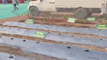 সোলার পাম্প ও ড্রিপ সেচ ব্যবস্থা—সবকিছুর উপরেই ভর্তুকি সোলার পাম্প ও ড্রিপ সেচ ব্যবস্থা—সবকিছুর উপরেই ভর্তুকি