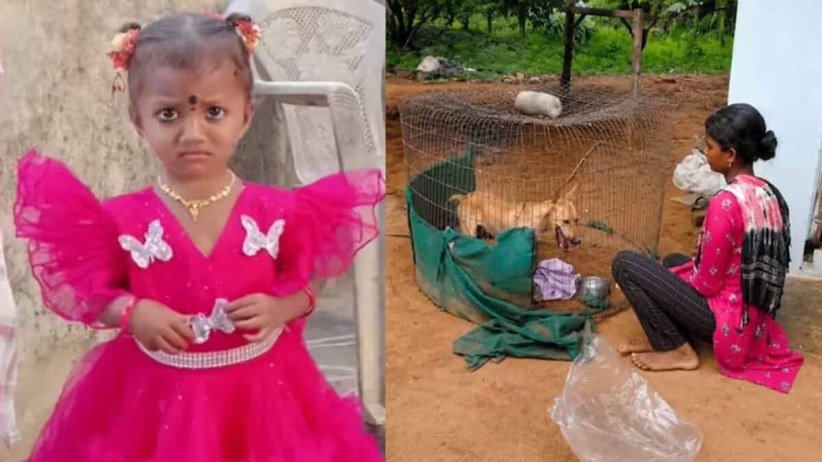 অন্ধ্রপ্রদেশের ২ বছরের শিশু নিখোঁজের ঘটনায় চমকে দেওয়া মোড়! সিসিটিভি ক্যামেরায় ধরা পড়া দৃশ্য দেখে হতবাক পুলিশও
