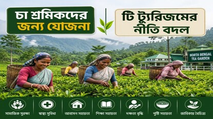 চা শিল্পে বিশেষ ভাবনা রাজ্য বাজেটে (ছবি-- এআই)