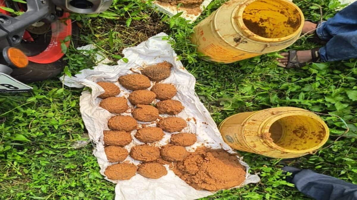 ভগবানপুরে মাটির নীচে বোমা আর বোমা…! ভয়াবহ ঘটনা ঘটার আগেই ‘জালে’ ৬, আসল কারণ ঘিরে ঘনাচ্ছে রহস্য