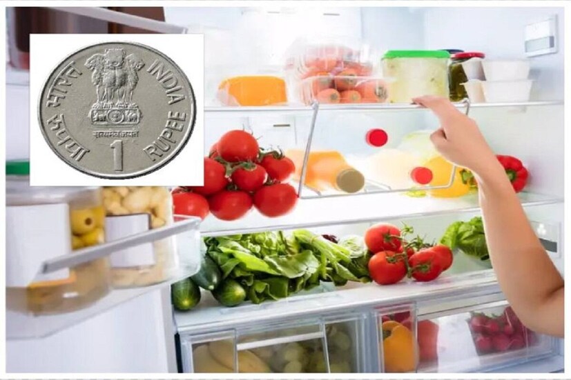 Fridge: রান্না করা খাবার ফ্রিজে রেখে খান? তাহলে সর্বদা ‘ডিপ ফ্রিজে’ জল ভরা বাটিতে রাখুন ১ টাকার একটি কয়েন, যা ঘটবে তাতে…! জানুন