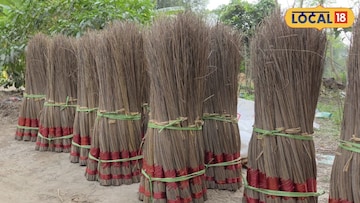 Broom Making Business: মাসে ২৫ হাজার টাকা! নারকেল ঝাঁটাতেই ঘুরল ভাগ্যের চাকা, কীভাবে ব্যবসার নয়া দিশা দেখাচ্ছে মেদিনীপুর? জানুন Broom Making Business: মাসে ২৫ হাজার টাকা! নারকেল ঝাঁটাতেই ঘুরল ভাগ্যের চাকা, কীভাবে ব্যবসার নয়া দিশা দেখাচ্ছে মেদিনীপুর? জানুন