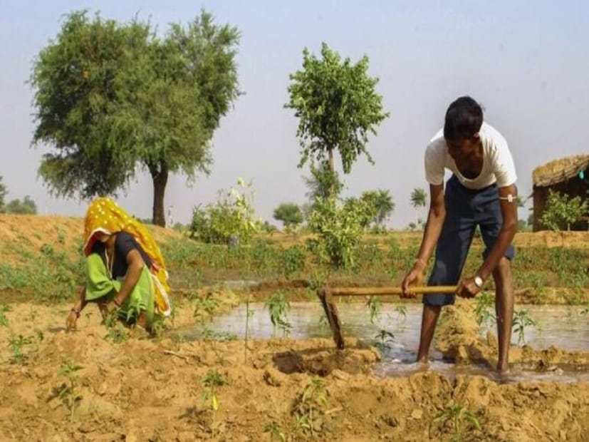 PM Kisan যোজনার অধীনে যোগ্য কৃষকদের প্রতি চার মাস অন্তর ২,০০০ টাকা করে, অর্থাৎ বছরে মোট ৬,০০০ টাকা আর্থিক সহায়তা প্রদান করবে । এই অর্থ বছরে তিনটি কিস্তিতে দেওয়া হয়— এপ্রিল-জুলাই, আগস্ট-নভেম্বর এবং ডিসেম্বর-মার্চ। সুবিধাভোগীদের ব্যাঙ্ক অ্যাকাউন্টে সরাসরি টাকা পাঠানো হয়। PM Kisan যোজনার অধীনে যোগ্য কৃষকদের প্রতি চার মাস অন্তর ২,০০০ টাকা করে, অর্থাৎ বছরে মোট ৬,০০০ টাকা আর্থিক সহায়তা প্রদান করবে । এই অর্থ বছরে তিনটি কিস্তিতে দেওয়া হয়— এপ্রিল-জুলাই, আগস্ট-নভেম্বর এবং ডিসেম্বর-মার্চ। সুবিধাভোগীদের ব্যাঙ্ক অ্যাকাউন্টে সরাসরি টাকা পাঠানো হয়।