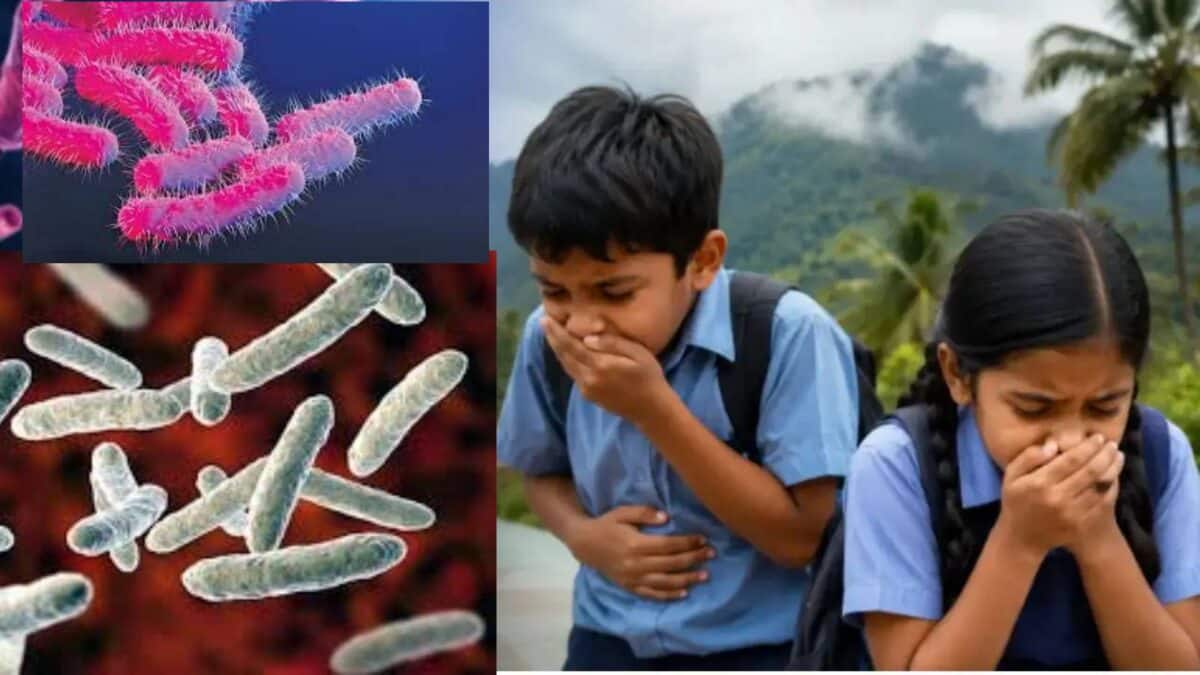 Shigella Symptoms: সাঙ্ঘাতিক ছোঁয়াচে শিগেলা! লক্ষণ কী কী? মলত্যাগের সময় সাবধান….কোন বয়সের বাচ্চাদের ভয় সবথেকে বেশি? জানুন