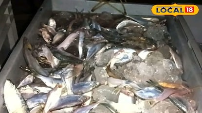 সামুদ্রিক মাছ বোঝাই ট্রলারটিকে হাতেনাতে ধরে ফেলেন স্থানীয় মৎস্যজীবীরা সামুদ্রিক মাছ বোঝাই ট্রলারটিকে হাতেনাতে ধরে ফেলেন স্থানীয় মৎস্যজীবীরা