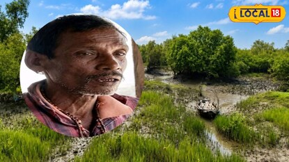 বাঘের আক্রমণে স্ত্রীর মৃত্যুর ১২ বছর পর একই ঘটনার শিকার স্বামী বাঘের আক্রমণে স্ত্রীর মৃত্যুর ১২ বছর পর একই ঘটনার শিকার স্বামী