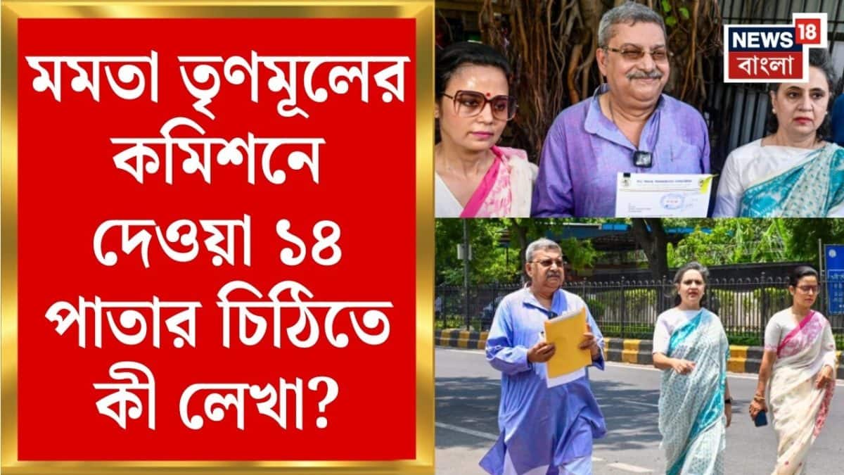 TMC News | কোন শিবিরের হাতে দলের নাম-প্রতীক-তহবিল? | Commission এ তৃণমূলের দু’পক্ষই | Bangla News